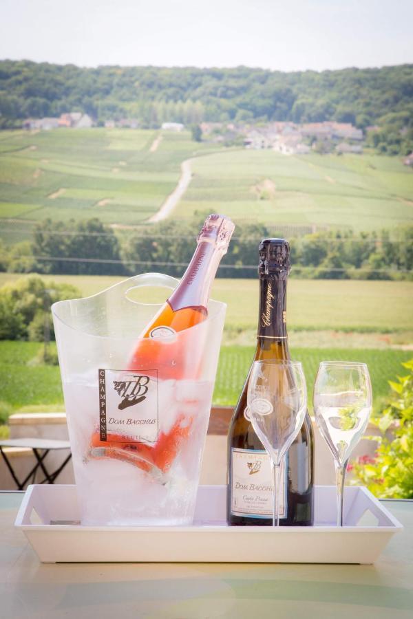 Domaine Bacchus Bed & Breakfast Reuil-sur-Marne Bagian luar foto