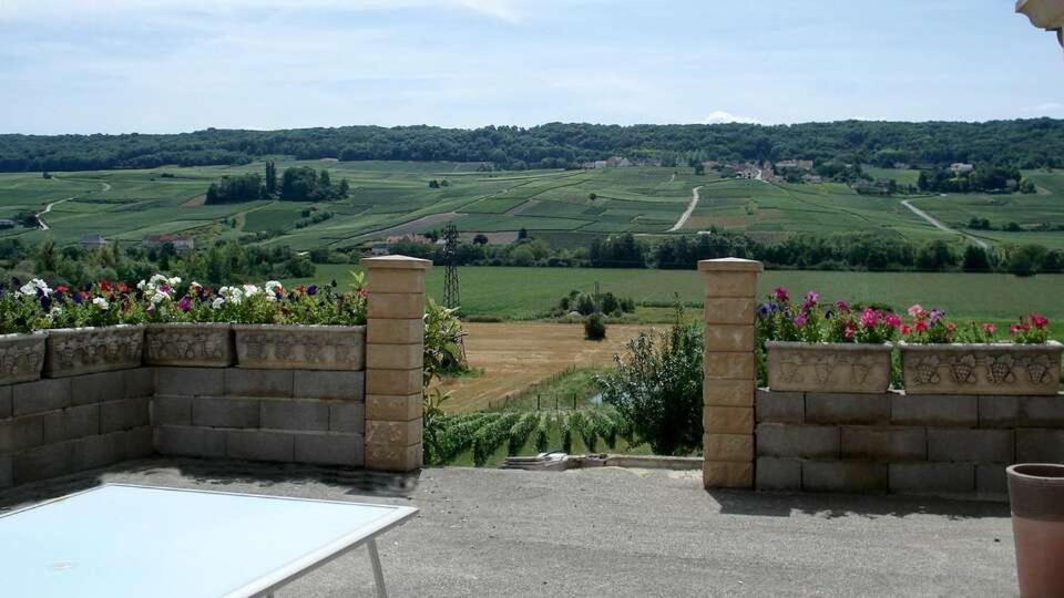 Domaine Bacchus Bed & Breakfast Reuil-sur-Marne Bagian luar foto