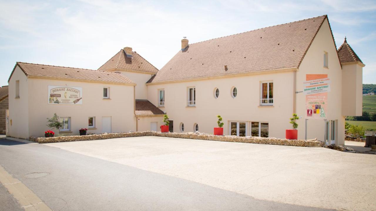 Domaine Bacchus Bed & Breakfast Reuil-sur-Marne Bagian luar foto